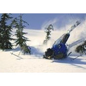 Shane LaMunion's photo
