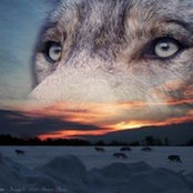 Reba Burdett's photo