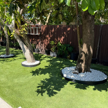 Modern Landscaping and Artificial Turf Design in Miami, FL