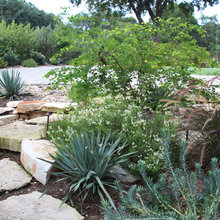 Austin Scape