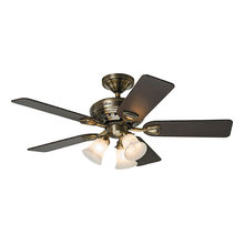 Ceiling Fans - Living Room