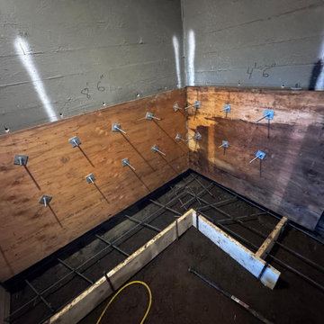 IN PROGRESS - EASTERLIN‘S RESIDENCE - BASEMENT REMODEL