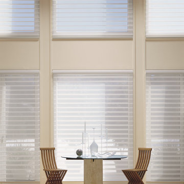 Silhouette Window Shadings