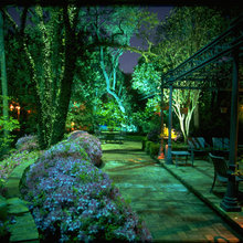 Backyard ideas