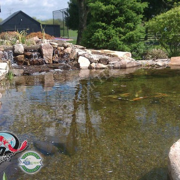 KOI Pond, Backyard Pond & Small Pond Ideas for your Kentucky Landscape