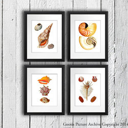 Seashells wall art for beach themed home decor - Products