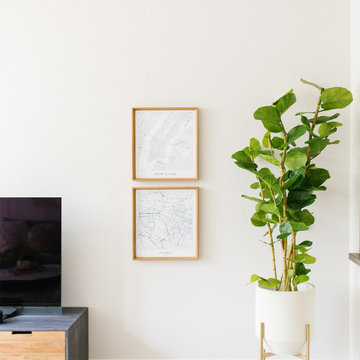 Soma Loft Furnishings Project
