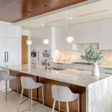 239 Carnation - Custom Modern Contemporary Home in Corona Del Mar, 2020