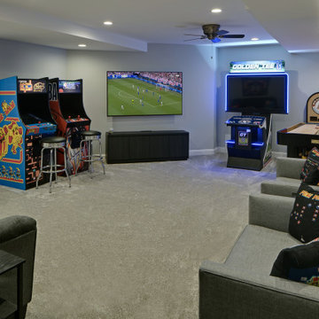 Ultimate Basement Remodel