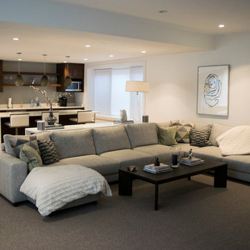 Boulder Basement Remodel