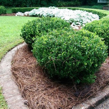 Our Work