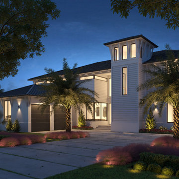 House | Front yard