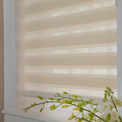 Allure Transitional Shades - Window Treatments