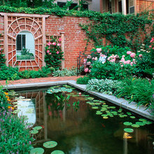 Landscape Ideas