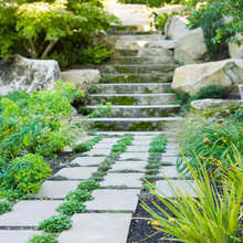 Side yard