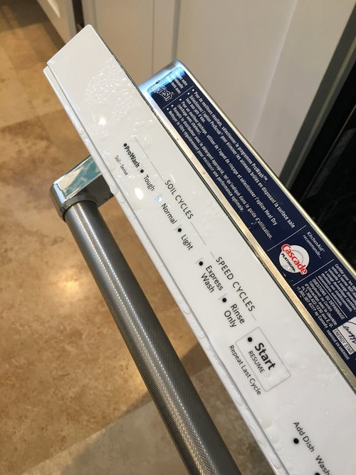 Kitchenaid DW ruining