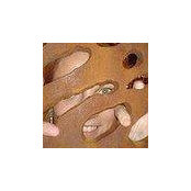 Paloma Castellano's photo