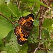 Keri Barker's photo