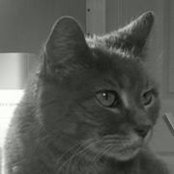 Lydia Smith's photo