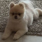 Kitty Perkins's photo