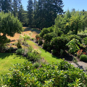 Cottage Garden in Olympia