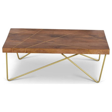 Bowery Hill Modern Coffee Table in Warm Brown Pine and Brass