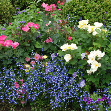 Annuals & Perennials