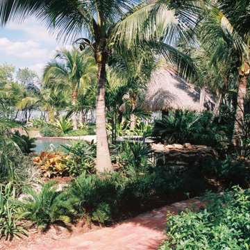 Palm Island Retreat
