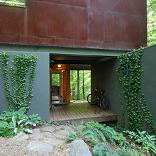 Vines