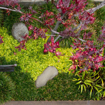 Secret Sanctuary Garden
