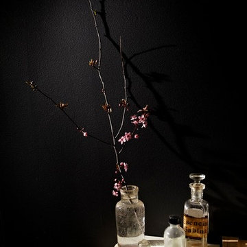 ASO Showhouse