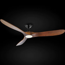 Ceiling Fans