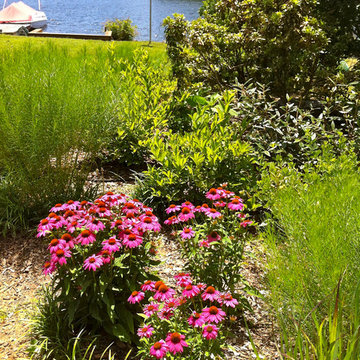 Lake near Fredericksburg, VA: Plant&Sustain for Clean Water