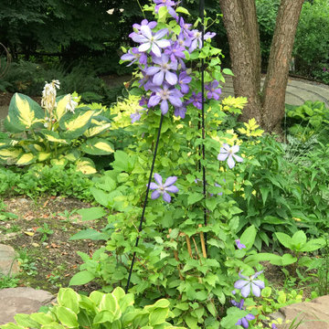 Garage Hillside plantings using lots of native plants
