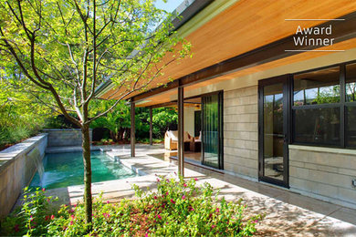 Example of a 1960s pool design in Tampa