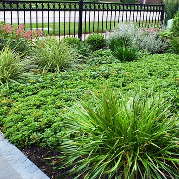 Arlington Heights Traditional Chicago Front Yard