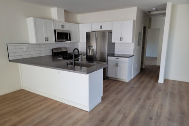 Kitchen - modern kitchen idea in Los Angeles