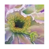 Kim Mann's photo