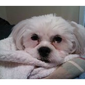 Carolyn Teel's photo