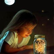 Diane Parisi's photo