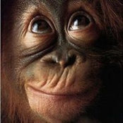 Barbara Begin's photo