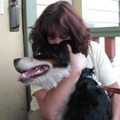 Jodi Pooler's photo