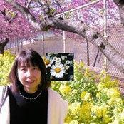 國井菊枝さんの写真