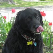 Steve Myers's photo