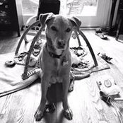 Amy Honek's photo