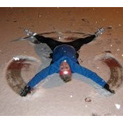 Whitney Ellis's photo