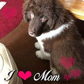 Debbie Hoffman's photo