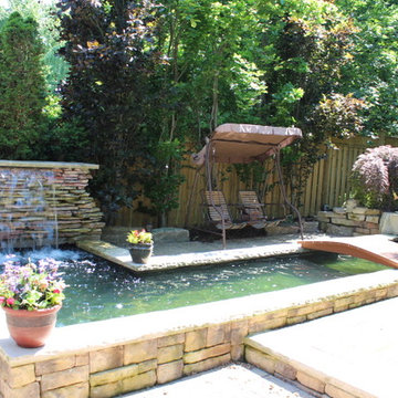 rons back yard