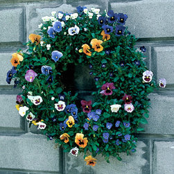 Living Wreath Form - Large 24" - Wreaths And Garlands