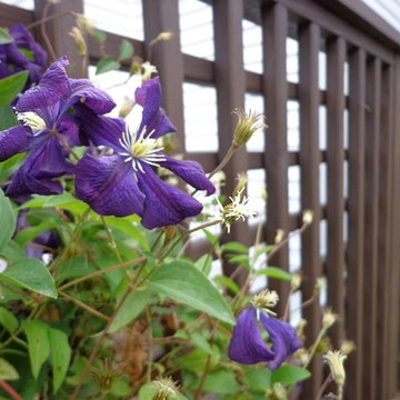 Prairie Pergola